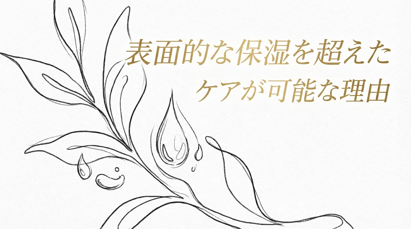 表面的な保湿を超えたケアが可能な理由